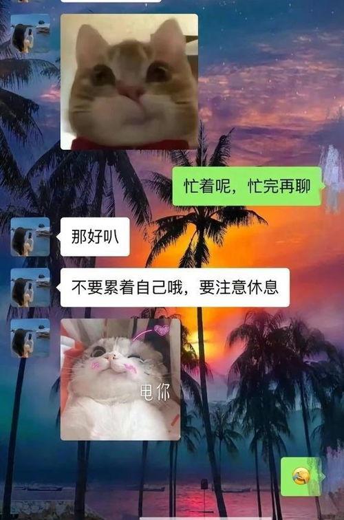 胖猫男友爆料视频,视频爆料背后的甜蜜生活  第1张
